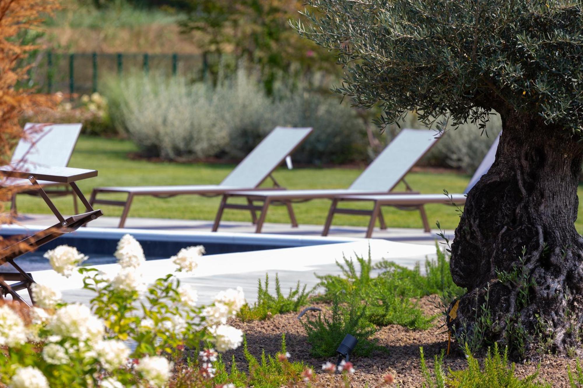 Casa Massaro Todeschini Aparthotel Abano Terme Exteriör bild