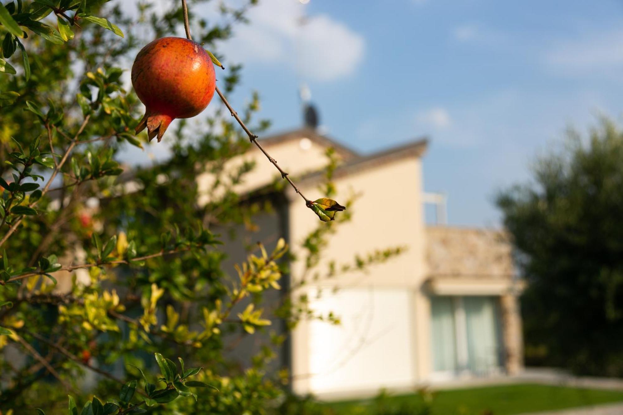 Casa Massaro Todeschini Aparthotel Abano Terme Exteriör bild