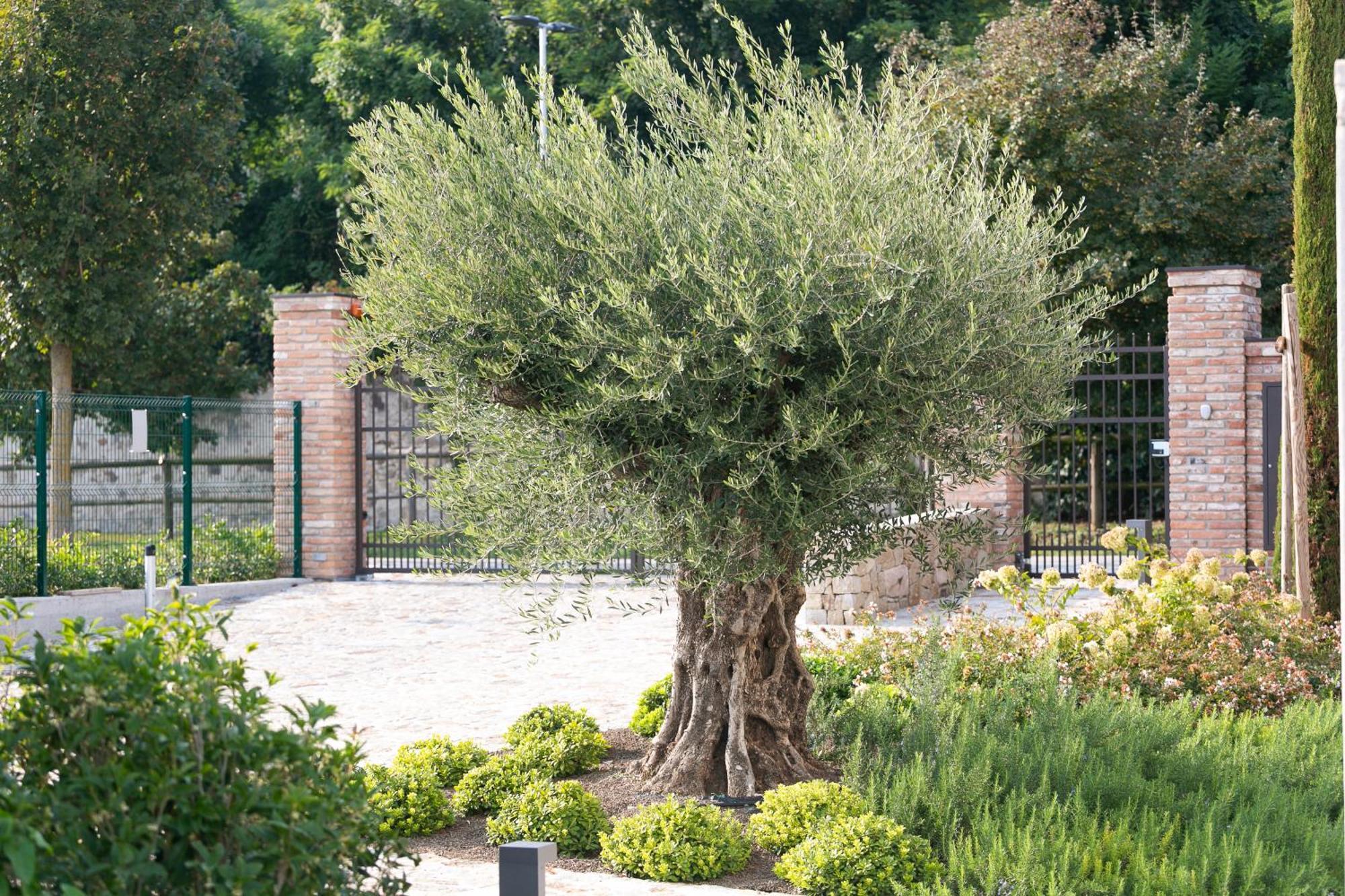 Casa Massaro Todeschini Aparthotel Abano Terme Exteriör bild